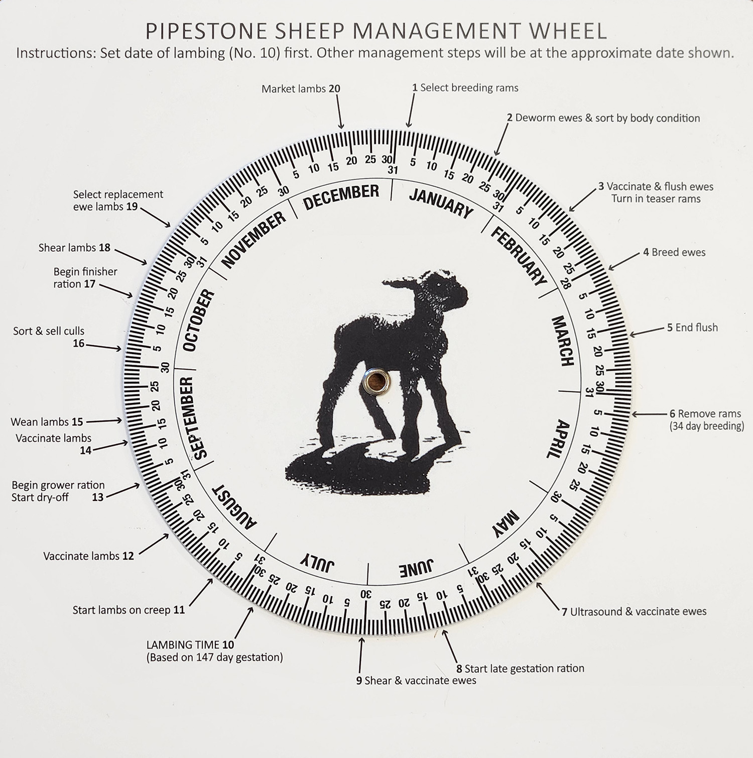 sheep wheel